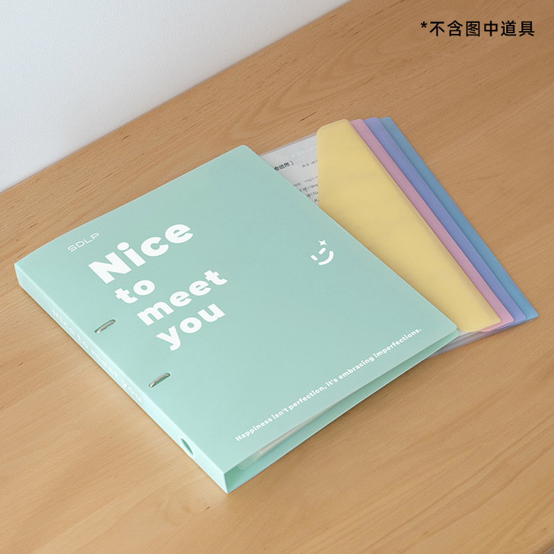[Set] Folder - Mint Green 4-Piece File Bag