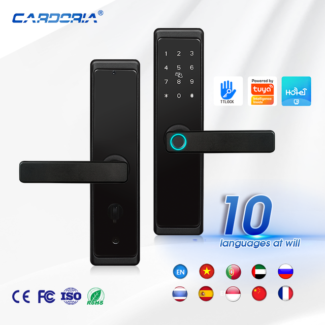 Factory Wholesale Fingerprint Smart Door Lock Electric Door Serrure Intelligente Smart Lock,Support Customization