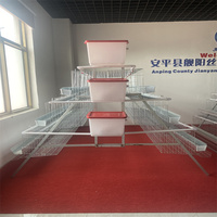 Cages à batterie pour volailles, poules pondeuses, dimensions pour 1000 cages à poules pondeuses