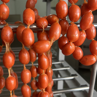 Nouvelle chambre à fumée automatique à vapeur Aimeida, fumoir à froid, four pour la transformation des fruits de mer et de la viande, en acier inoxydable, écoénergétique
