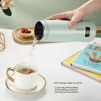Tasse chauffante en acier inoxydable 450ML bouilloire chauffe-eau bouteille Portable voyage tasse électrique