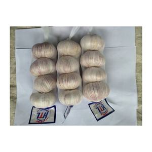 Çin'den sarımsak satın taze saf beyaz sarımsak taze siyah sarımsak 250g satılık - Product Image 5