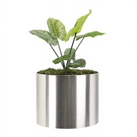 Pot de fleurs minimaliste en fer avec support en métal noir pour plantes d'intérieur, design chromé, décoration intérieure