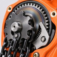 Palans à chaîne professionnels, poulies à chaîne robustes, équipement de levage de sécurité, palans manuels industriels fournis par les fabricants