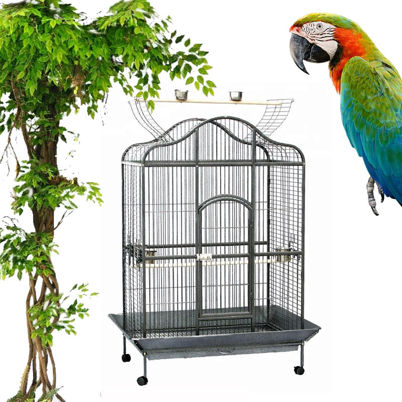 large bird cage for sale