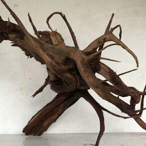 Betrouwbare En Goede Aquacultuur Systemen-Aquaria Aquaria En Drijfhout Wortels - Product Image 2