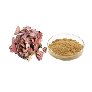 Fabrieksleverancier Natuurlijk Bistort Rhizome <span class=keywords><strong>Extract</strong></span> Poeder 20:1 <span class=keywords><strong>Polygonum</strong></span> <span class=keywords><strong>Bistorta</strong></span> L. <span class=keywords><strong>Extract</strong></span> Poeder 10:1 - Product Image 1