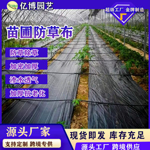 Kailizi Weed Control Fabric 58/60cm Black Nonwoven Mulch Film For Orchard Vegetable Garden Eco-Friendly Ground Cover - Product Image 3
