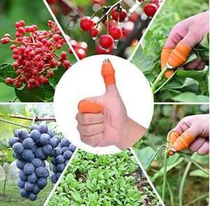 1 jeu <span class=keywords><strong>protège</strong></span>-doigts en Silicone avec lame pour Fruits légumes couteau à <span class=keywords><strong>pouce</strong></span> <span class=keywords><strong>protège</strong></span>-doigts Gadgets de <span class=keywords><strong>cuisine</strong></span> accessoires de <span class=keywords><strong>cuisine</strong></span> - Product Image 4