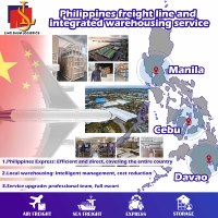 Agente de Envío Aéreo Express en Filipinas, Entrega Puerta a Puerta, Transporte Lingshun, Duración de 1-2 Días
