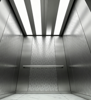 Ascensore Passeggeri Fareo Moderno in Acciaio Inossidabile Senza Ingranaggi, a Trazione CA, Durevole, Sicuro, Facile Installazione e Funzionamento, per Appartamenti e Centri Commerciali