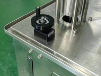 Machine de remplissage de produits cosmétiques, de parfums et de soins de la peau personnalisés, machine de remplissage à grande vitesse, équipement de remplissage à piston pour la pâte de tomate