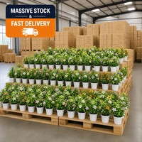Planta Artificial en Maceta, Vegetación Artificial Realista con Maceta Blanca para Decoración de Hogar, Oficina, Mesa, Boda, Venta al por Mayor