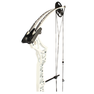 Arco compuesto de tiro con arco para caza profesional, compuesto de arco para tiro con arco, JWM-108, China, venta al por mayor - Product Image 6