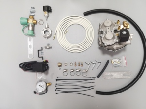 Keke Triciclo Tvs con Cng Kits Motocicleta KEKE Cng LPG Kit Autogas Control de Motor para Tres Ruedas Triciclo <span class=keywords><strong>Motocars</strong></span> - Product Image 3