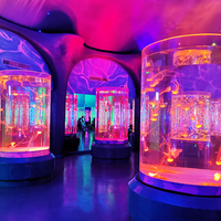 Conception moderne sur mesure grand aquarium en plastique Fish Tank Produits en plastique haut de gamme de la société Aquarium