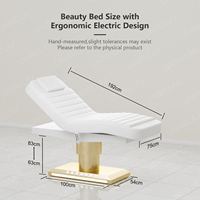 La table de message de lit facial électrique de lit de beauté de spa de salon de chauffage à un bouton inclut le design moderne blanc avec la lumière d'ambiance