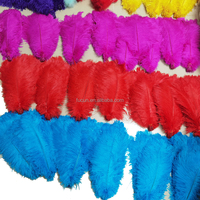 Vente en gros teinture en vrac plumes d'autruche Nandu bicolores plumes de dinde pour sac à dos plumes de carnaval de luxe accessoires