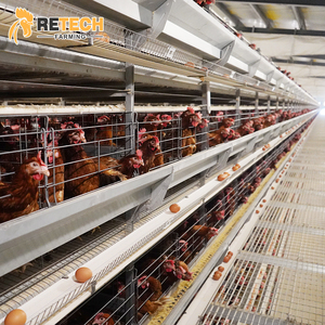 Poultry Modern <strong>Design</strong> Chicken Farm Automatic Poultry Layer <strong>Cages</strong> System H Type Poultry Egg <strong>Cage</strong> - Product Image 1