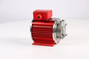ปั๊มมอเตอร์แบบกระป๋อง Aulank PWD 380V/220V ป้องกันการรั่วไหล สำหรับการถ่ายโอนในอุตสาหกรรม - Product Image 3