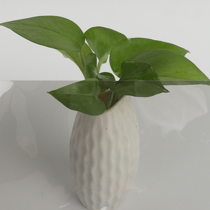 Film solaire automobile nano-céramique teinté 50% VLT non-réfléchissant - Product Image 2