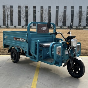 <span class=keywords><strong>รถ</strong></span>สามล้อไฟฟ้า 60V สำหรับขนส่งสินค้าในเมือง แบบเปิดโครงสร้าง กำลังสูง สำหรับการขนส่งสินค้าเชิงพาณิชย์ - Product Image 2