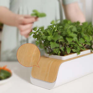 Sistema de Riego Automático para Jardín Hidropónico, Estilo Chino, Granja Inteligente para Plantas - Product Image 3