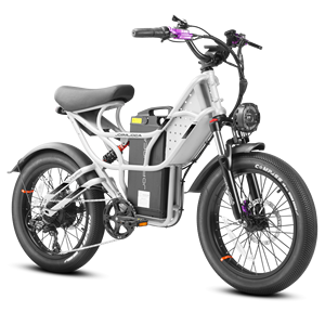 Eahora Cupidon <span class=keywords><strong>Cargo</strong></span>-Vélo électrique électrique de 1000W pour adulte, vélo tout-terrain hybride, avec livraison gratuite, stock en UE - Product Image 1