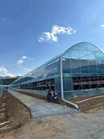 Serre de grande taille à prix d'usine, serre multispan personnalisée, serre multispan en plastique durable, qualité supérieure, vente chaude
