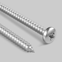 Vis autotaraudeuses en acier inoxydable à tête cylindrique cruciforme Phillips, filetage PT, pour plastique