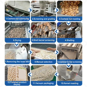 Máquina Peladora y Vaporizadora de Anacardos ORME China, Línea Automática de Procesamiento de Nueces de Anacardo - Product Image 2