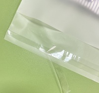 Sacs en plastique mat EVA semi-transparents givrés avec logo personnalisé du fournisseur, pour l'emballage de vêtements, auto-adhésifs