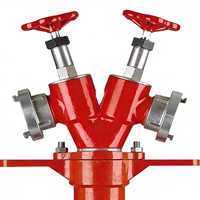 Vanne de raccordement pour hydrant d'incendie en aluminium TOWAY, 2 voies, raccords Storz 2,5 pouces, construction forgée, adaptateurs de tuyau de distribution d'eau en Y