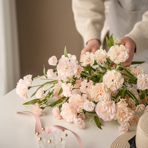 Bouquet de carnations artificielles Haiyi, fleur en soie à tige unique, décoration d'intérieur, accessoires de mariage - Product Image 4