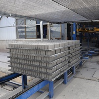 Paletas de Fibra de Vidrio Ecológicas Tipo Euro GMT con Superficie Lisa para Máquinas de Fabricación de Bloques de Hormigón y Ladrillo