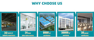 Tira de vidrio óptico serie ZF, materiales de alta transmisión - Product Image 6