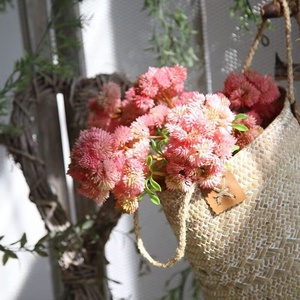 Plantas suculentas artificiales <span class=keywords><strong>de</strong></span> <span class=keywords><strong>plástico</strong></span> realista, decoración <span class=keywords><strong>de</strong></span> interiores, <span class=keywords><strong>flores</strong></span> artificiales - Product Image 2