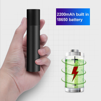 2200mAh Portable Noir UV Filtre 365nm UV Noir Lumière Détecteur Lampe de Poche Rechargeable USB Forte Ultraviolet LED Lampes de Poche