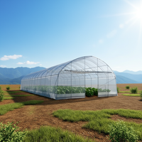Film de serre tissé en PEHD 130 g/m² résistant aux UV, anti-goutte, anti-buée, imperméable, transparent, découpable pour l'agriculture en tunnel