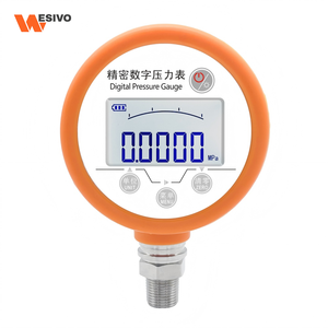 Manomètre numérique multi-unités WESIVO 881 prenant en charge les unités MPa/KPa/inHg/mmHg/Bar/<span class=keywords><strong>Psi</strong></span>/mBar/<span class=keywords><strong>Pa</strong></span> - Product Image 1