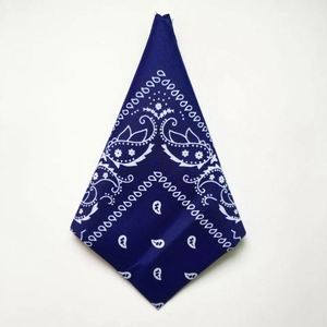 Bandana foulard : l'accessoire ultime pour l'ambiance estivale, idéal pour les fêtes à la plage, les sports de plein air et la vie en ville - Product Image 5