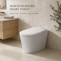 WC intelligent multifonction MWD 220V avec siphon super-spiral, chauffage instantané, espacement entre les trous de 300/400 mm, drain de sol, vente en gros OEM