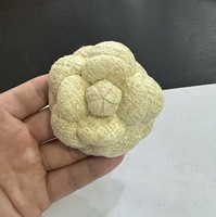 XG Haut de gamme, ensemble de broches corsage en cuir PU, style 'Petit Vent Parfumé', bijoux fleur de camélia pour enfants avec épingles