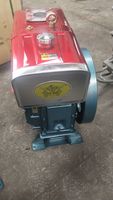 Moteur diesel agricole monocylindre EAGLE POWER 12HP ZS195, Euro 2, 4 temps, refroidissement par eau, conception horizontale, facile à utiliser
