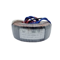 En Stock Expédition Rapide 60W/60W 115V 120V 220V 230V 240V à 6.3V 9V 12V 15V 18V 24V Transformateur Toroïdal Onduleur Audio