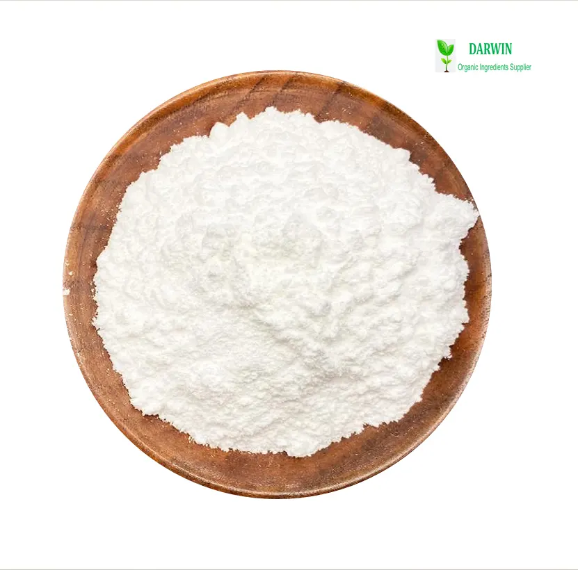 Bubuk Threonate Magnesium L murni kualitas tinggi CAS 778571-57-6 99% Magnesium l-threonate
