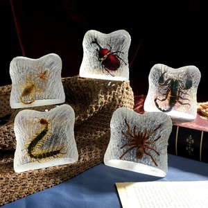 Insectes réalistes en résine en gros, scorpion, araignée, forme de montagne, thème animal, décoration d'intérieur, souvenir - Product Image 6
