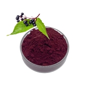 Ekstrak Bubuk Buah Elderberry Sambucus Nigra Rasio 10:1 TLC untuk Minuman Kesehatan Fungsional
