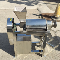 Industriële Handmatige Ananas Wortel Guave Kokosnoot Extract Juicer Dubbele Extrusie Schroef Voor Hotels 500Kg Gewicht W Power Plc