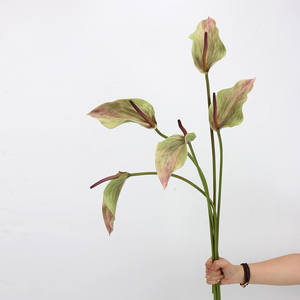 AR-1101<span class=keywords><strong>ดอกบัว</strong></span>หน้าวัว78ซม. สำหรับดอก Anacarpus <span class=keywords><strong>ดอกบัว</strong></span>ดอกเดียวกาวนุ่<span class=keywords><strong>ม</strong></span>สั<span class=keywords><strong>ม</strong></span>ผัสจริง - Product Image 4